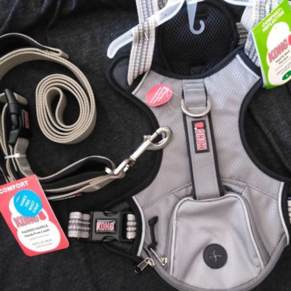 Kong dog harness and leash